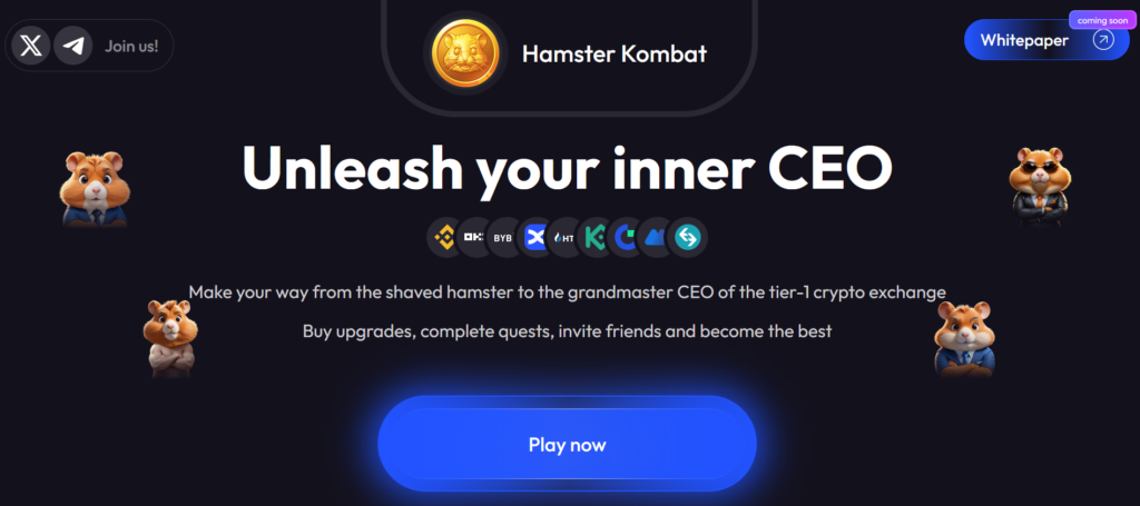 Hamster Kombat Daily Cipher cypher daily Combo